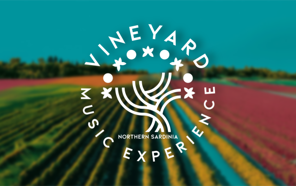 Logo - Vineyard Music Experience